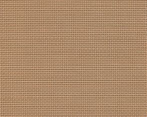 F2-206 Camel