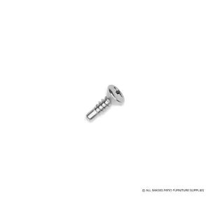 Stainless Steel Pilot Point Screw