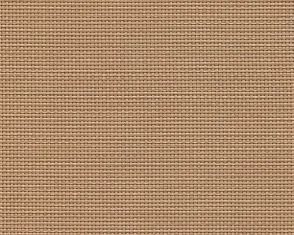 F2-206 Camel